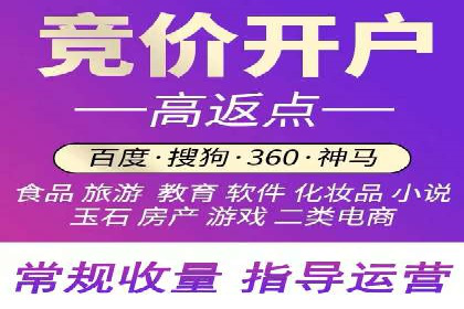 电商成功案例：竞价推广助力品牌崛起